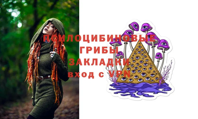 Псилоцибиновые грибы Magic Shrooms  shop клад  Райчихинск 